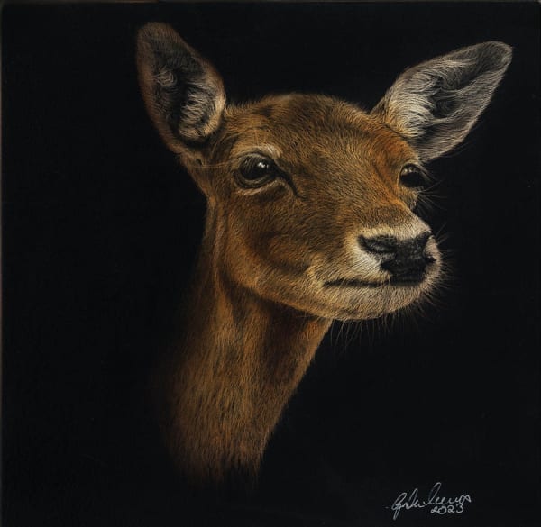 Gordon Corrins, Annie, 2023