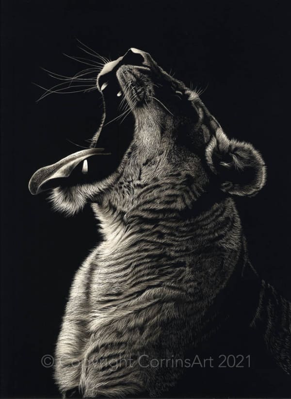 Gordon Corrins, Sy, 2023