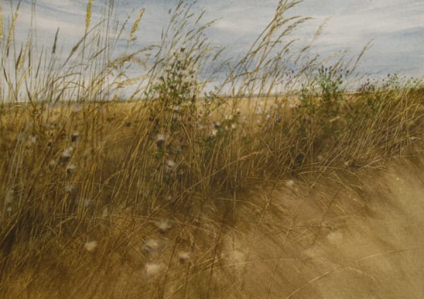 Atumn in the Mearns; David Johnston