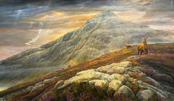 Chris Sharp, Amongst the Heather, 2025