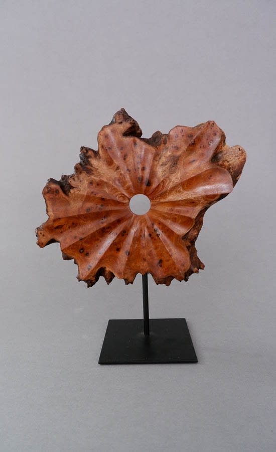 Kenny Woods, Burr Elm Slice III, 2022