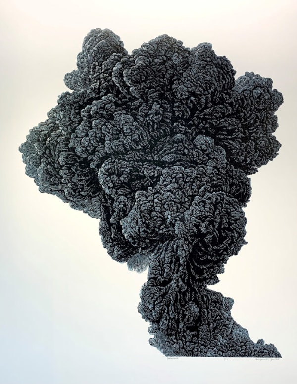 summa by Bryan Angus