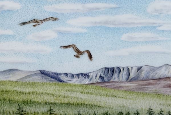 Jenny Musker, Ospreys over Deeside, 2025