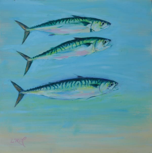 Mackerel by Lesley Lockett