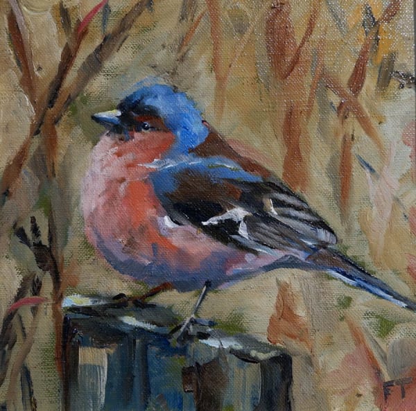 Fiona Thomson, Chaffinch on a Misty Morning, 2022