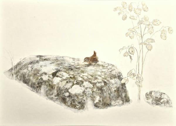Rock and Wren by Jonathan Sainsbury