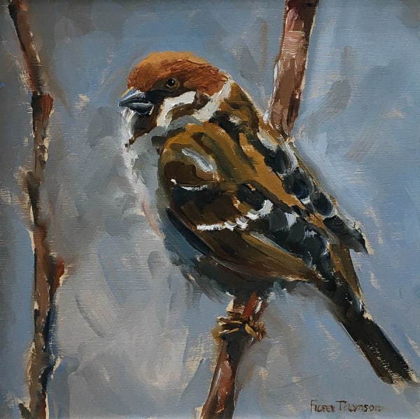 Fiona Thomson, Sparrow on Silver Birch, 2023