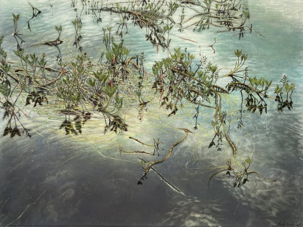 The Great Bog of the Winds