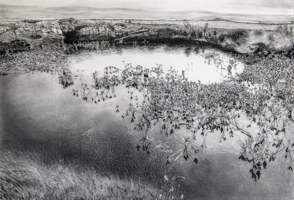 The Flows And The Flora