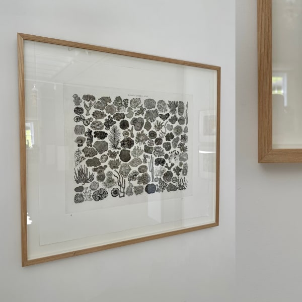 Natural Ash Wood, Standard Glass, Archival Mount