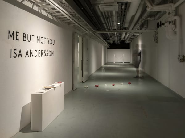 007 Isa Andersson 2020 Galleriduerr Dsc0296Re