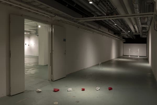 012 Isa Andersson 2020 Galleriduerr Dsc0349Re