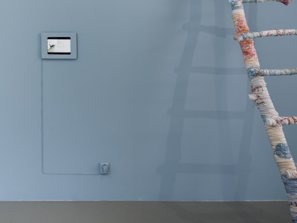 Installation view, Joanne Grüne-Yanoff, Galleri Duerr. Photo: Jean-Baptiste Béranger.