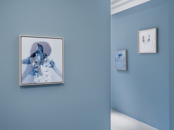 Installation view, Joanne Grüne-Yanoff, Galleri Duerr. Photo: Jean-Baptiste Béranger.