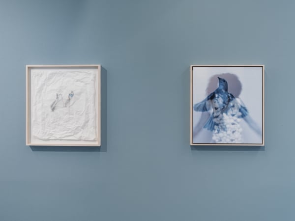 Installation view, Joanne Grüne-Yanoff, Galleri Duerr. Photo: Jean-Baptiste Béranger.