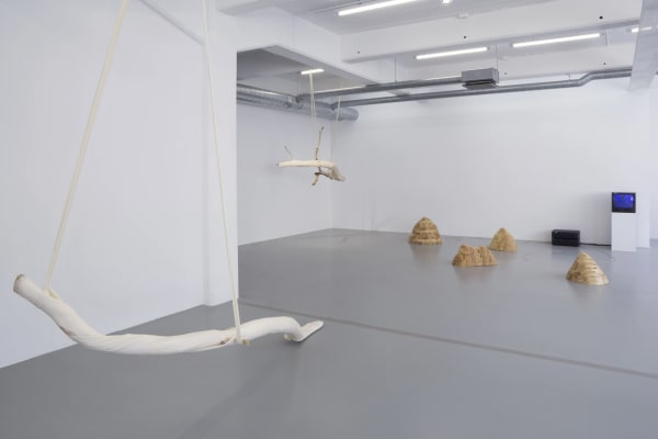 Jordana Loeb | Wooden Feedback