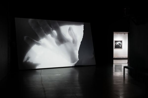 Photo: Hendrik Zeitler