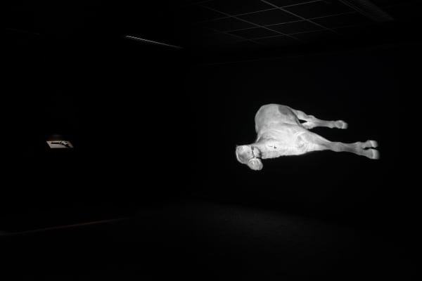 Photo: Hendrik Zeitler