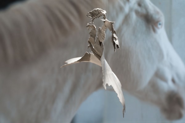 Photo: Hendrik Zeitler