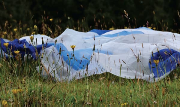 Ana Mari A Rueda Un Jardin Propio 4