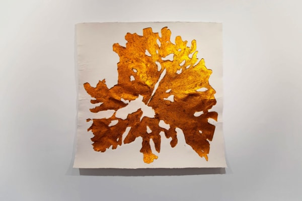 2025 Intaglio con laminilla de cobre, limadura de hierro sobre papel artesanal 100% algodón  220 x 220 cm