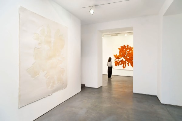 Miler Lagos Getsemani Galeria Elvira Moreno 5