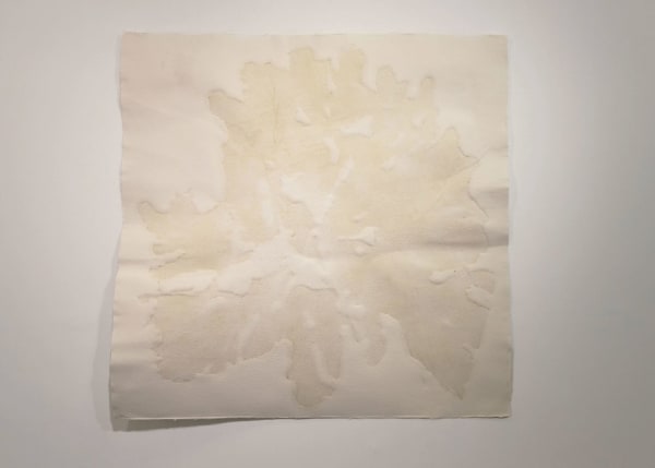 Tiro Miler Lagos Gem