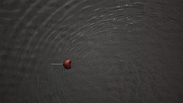 ATTRACTION 2009 — Represa del Sisga, Bogotá, Colombia