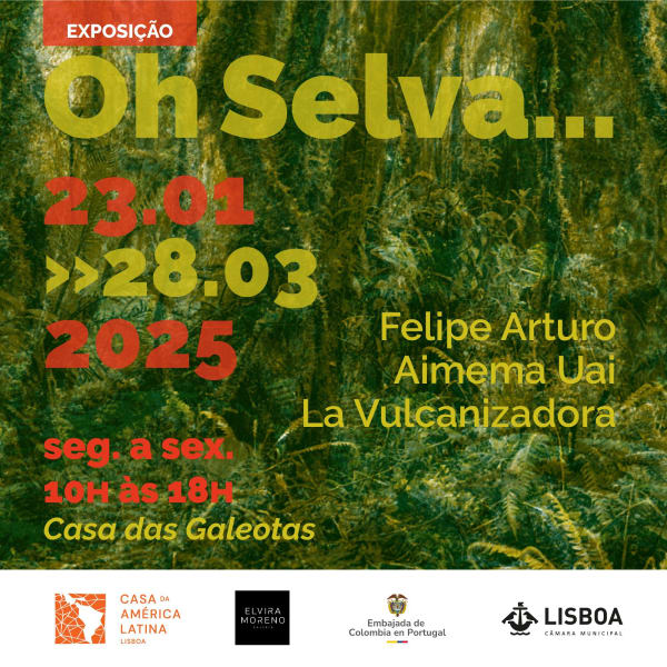 'Oh Selva...' curated by Francisco Arevalo, @ Casa de America Latina Portugal