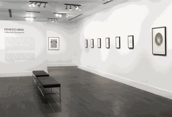 Ernesto Briel @ JCMAC, Miami, Ernesto Briel exhibit at the Juan Carlos Maldonado Art Collection curated by Ariel Jimenez.