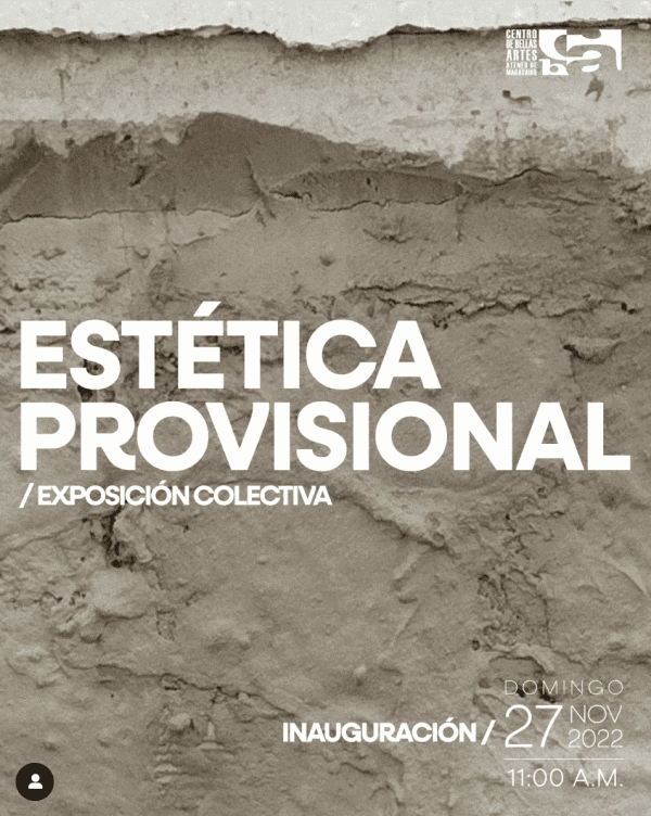 FEDERICO OVALLES @ Centro de Bellas Artes, Maracaibo, PROVISIONAL AESTHETICS. MANIFESTO. BY FEDERICO OVALLES