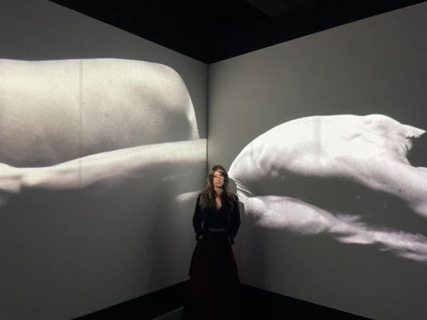 Liz Callejas @ Centro de Memoria, Paz y Reconciliación, Bogotá, Liz Callejas's work, 'Laberinto,' has been awarded the Artistic and...