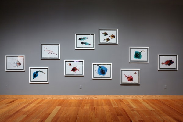 Ghosts of the Gulf, 2014 (installation view)