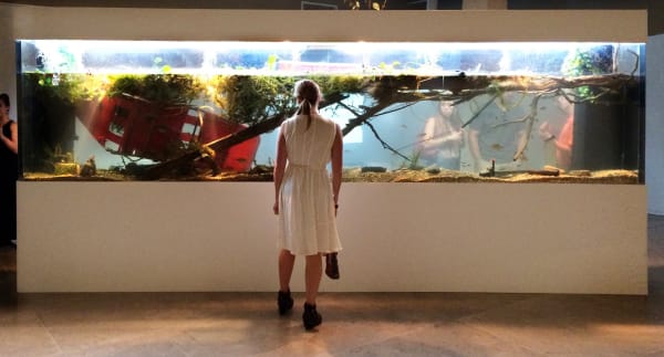 Mississippi Delta Eco-Displacement, 2014 (installation view)