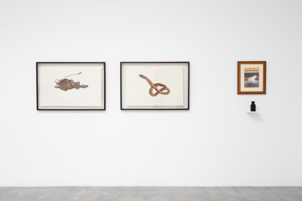 Eco-Art Work: 11 Artists from 8 Countries, 2022 (installation view)