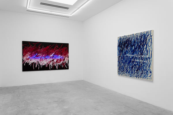 A’Driane Nieves, self-evident truths, 2024 (installation view)