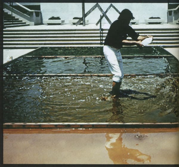 Survival Piece II: Notations on the Ecosystem of the Western Saltworks with the Inclusion of Brine Shrimp, 1972 Installation view from the Los Angeles County Museum of Art, 1971