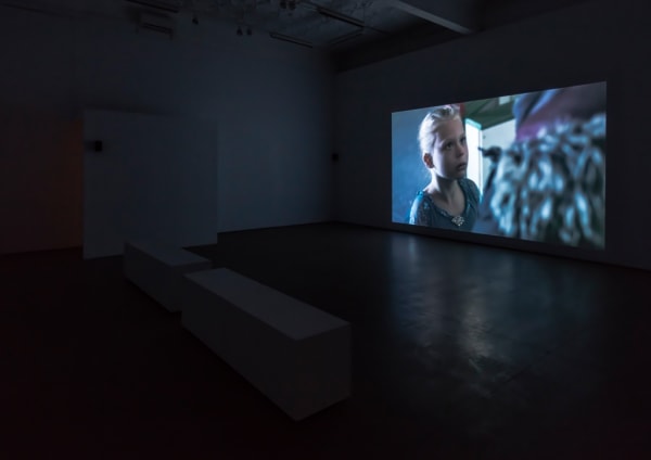 Kiss and Cry, 2015 Mercer Union (installation image) Photo: Toni Hafkenscheid