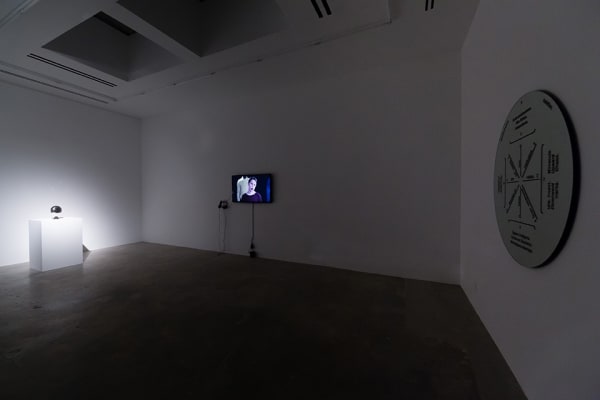 The Thought Leader, 2015 Various Small Fires, Los Angeles (installation image)