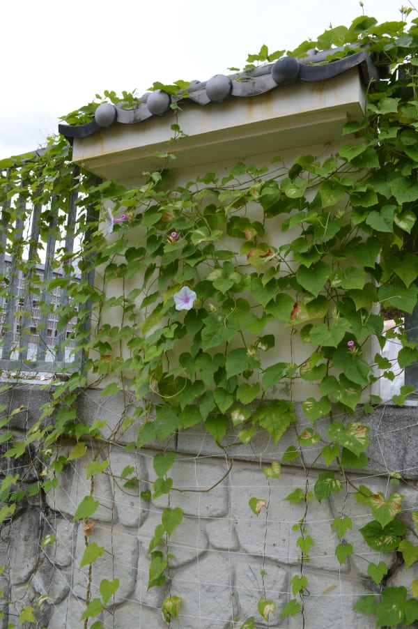 If the Snake, 2019 (installation view), Okayama Art Summit, Okayama, JP Image courtesy Okayama Art Summit