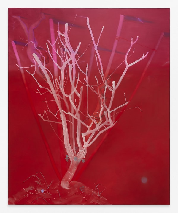 Sa020 Sara Anstis Red Tree 2023 90X74 A Lr