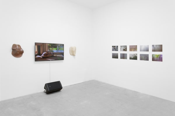 Ben Thorp Brown Cura