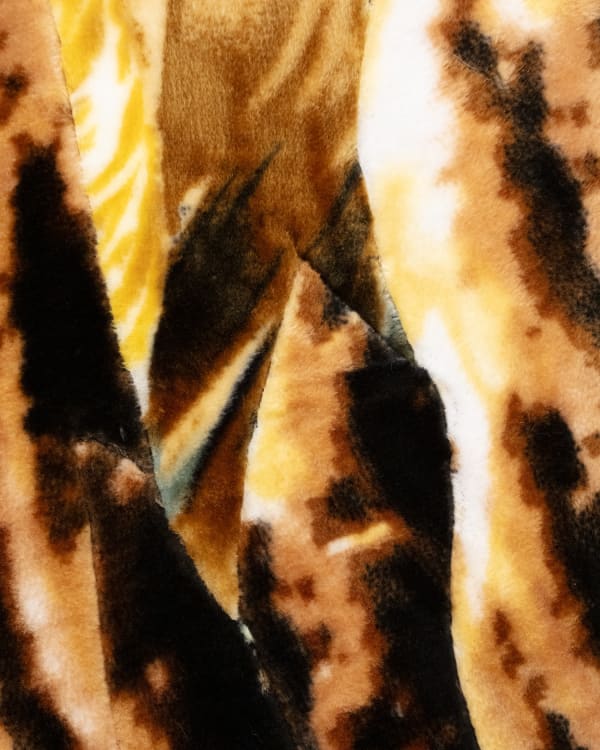 Antonio Lechuga Street Views