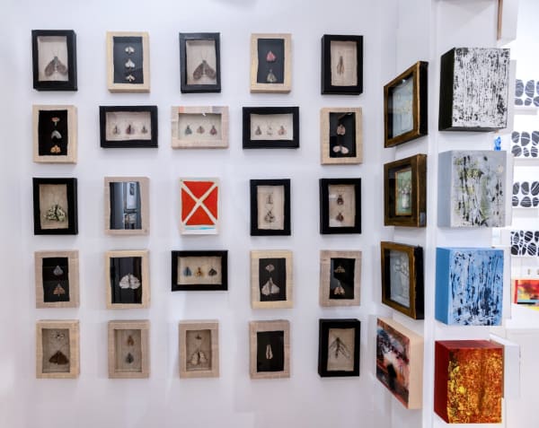 Copy Of R5A 0181 Edit