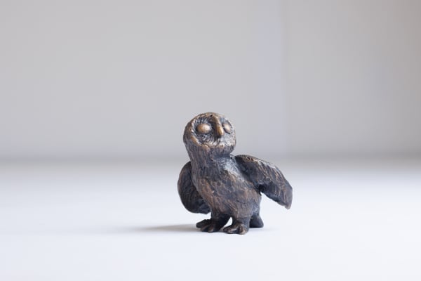 Little Wild Owl (Owl 5), From the Parliament of Owls