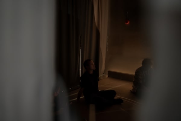 Eleganza Extravaganza Cats 261