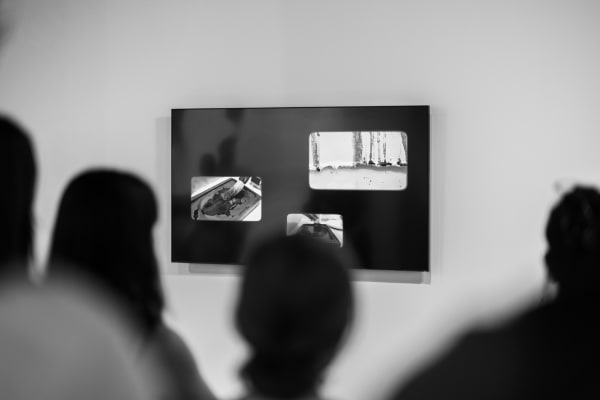 195 Firmament In Flux