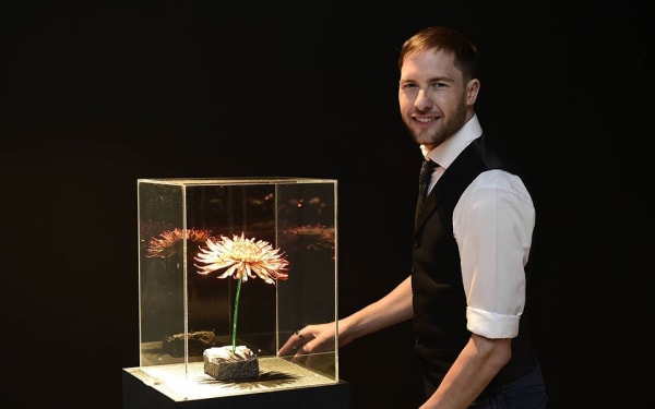 Jeweled Garden by Matthew Campbell Laurenza