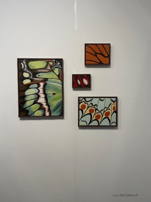 Ava McDonough at Shrine, New York City & Los Angeles