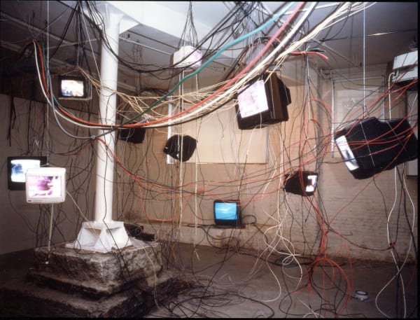 Carolee Schneemann, More Wrong Things, 2001
